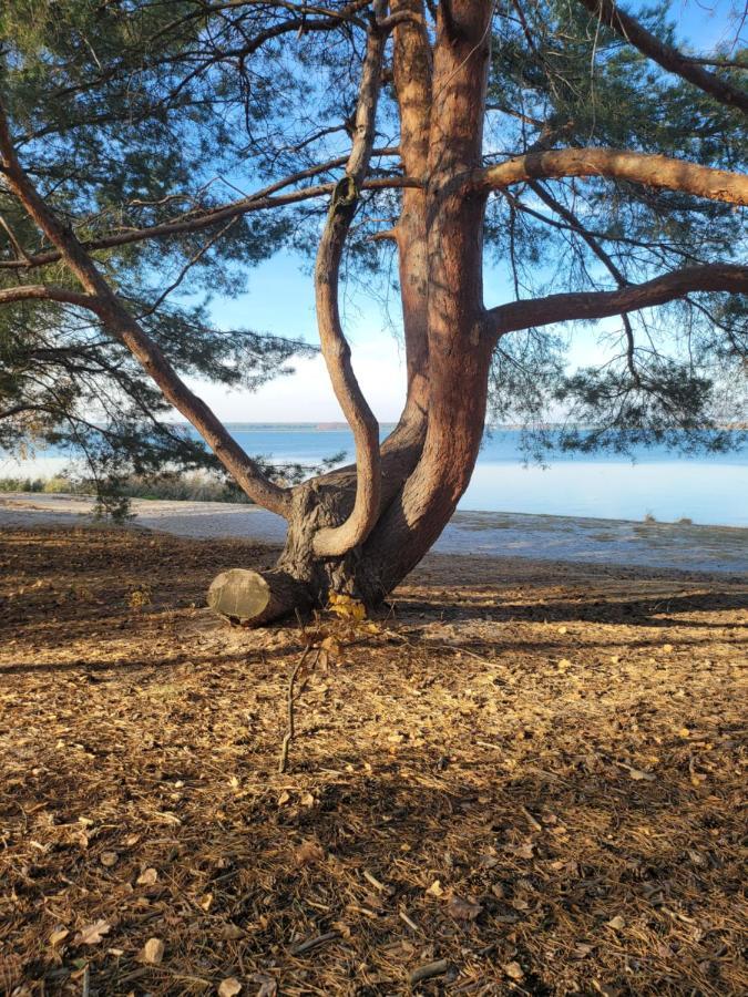 Ferienhaus Water Geierswalde Eksteriør bilde